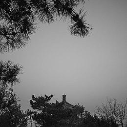 治愈系冒险建造游戏《最后的炼金术师》现已在Steam平台正式推出